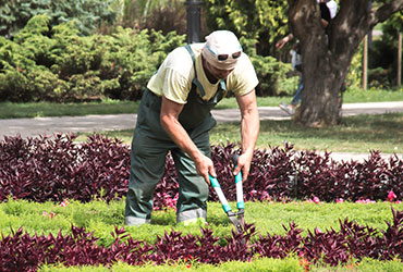 Bookkeeping for Gardeners